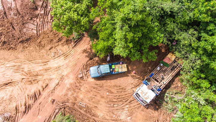 Previous research proving that nature loss is happening at an unprecedented pace is highlighted in the report